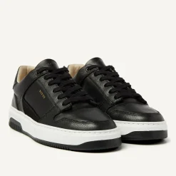 Basket Court Zwarte Sneakers Voor Heren